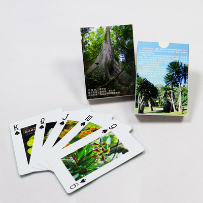 Quảng cáo Holographic Thẻ chơi màn hình doanh nghiệp tuyên truyền Thẻ chơi giấy tùy chỉnh